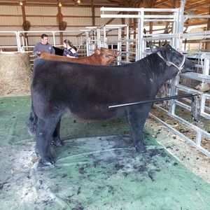 Meet your Posher, Kendra